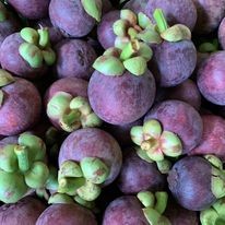 มังคุด ออร์แกนิค